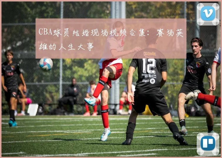 CBA球员结婚现场视频合集：赛场英雄的人生大事